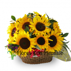Floristeria guatemala